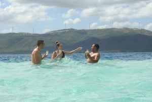 Puerto Plata: Day Trip to Cayo Arena Island by Speedboat