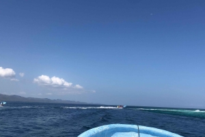 Puerto Plata: Heldagsutflukt til Cayo Arena og Punta Rucia