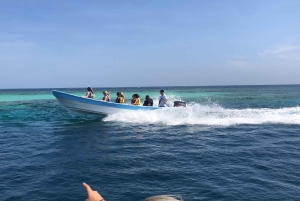 Puerto Plata: Heldagsutflukt til Cayo Arena og Punta Rucia