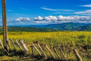 Puerto Plata: wycieczka autobusowa z przewodnikiem, muzeum rumu i lunch