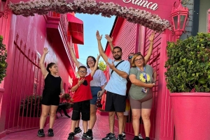 Puerto Plata: Guided City Tour with beach time