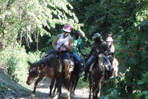 Puerto Plata: Half-Day Mountainside Horseback Riding