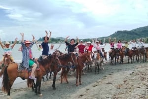 Puerto Plata: Horseback Adventure on the Beach, Countryside, and City (Maimón)