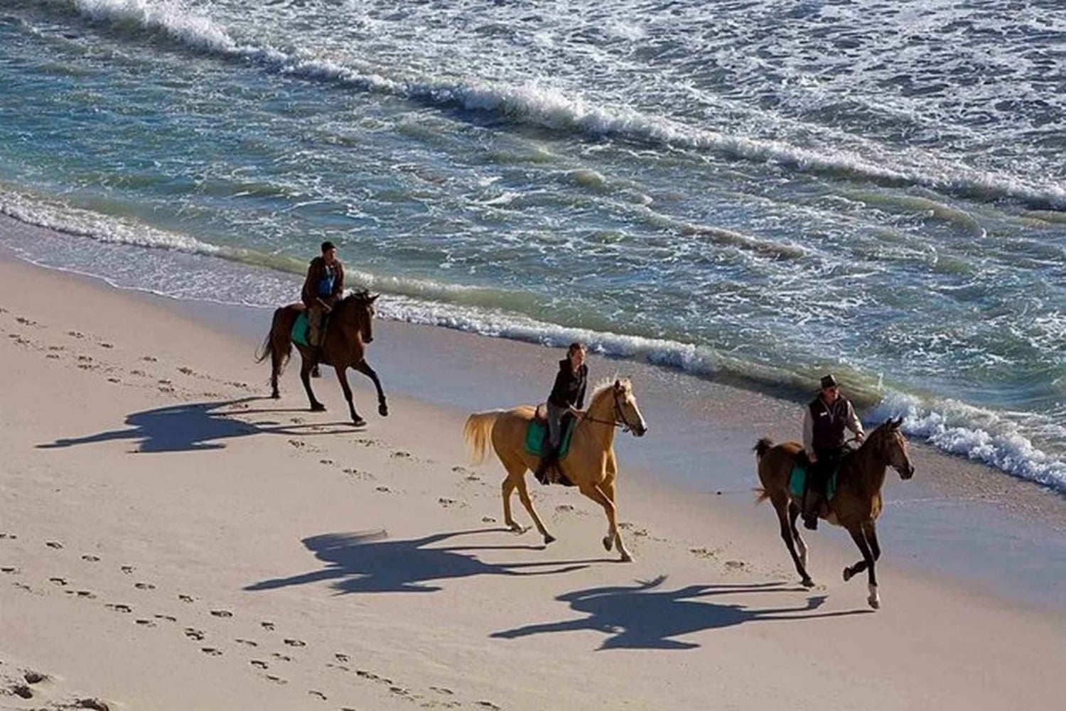 Puerto Plata: Montar a Caballo en la Playa