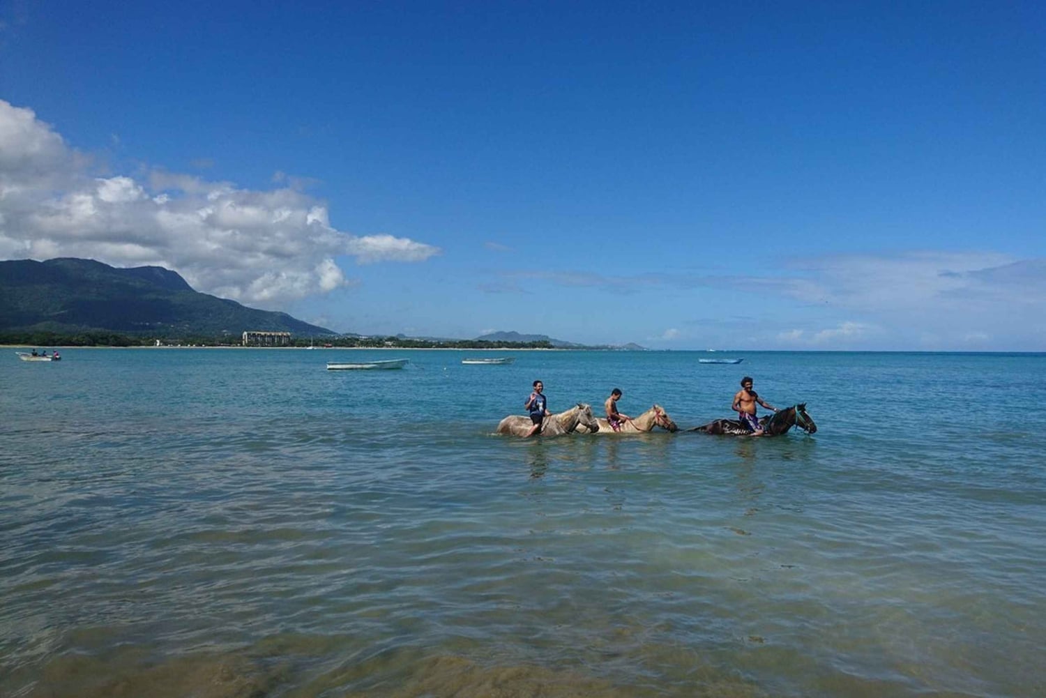 Puerto Plata: Montar a Caballo en la Playa