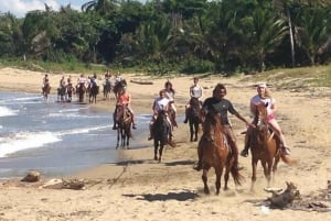 Puerto Plata: Horseback Riding on the Beach