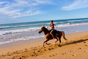 Puerto Plata: Montar a Caballo en la Playa