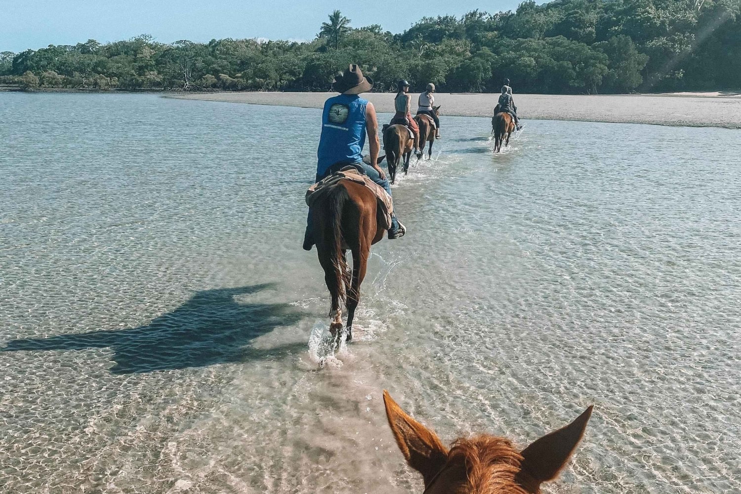 Puerto Plata: Ausritt mit Blick auf den Strand