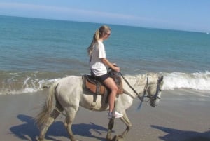 Puerto Plata: Horseback Riding Tour