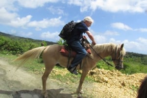 Puerto Plata: Horseback Riding Tour