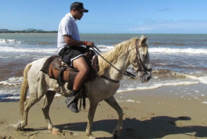 Puerto Plata: passeio a cavalo pela praia e comunidade local