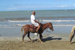 Puerto Plata: passeio a cavalo pela praia e comunidade local