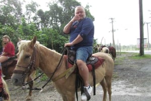 Puerto Plata: Horseback Tour of the Beach and Local Community
