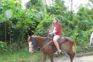 Puerto Plata: Horseback Tour of the Beach and Local Community