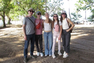 Puerto Plata: Horseback Tour of the Beach and Local Community