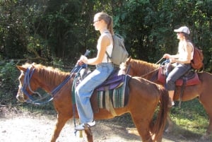 Puerto Plata: Horseback Tour of the Beach and Local Community