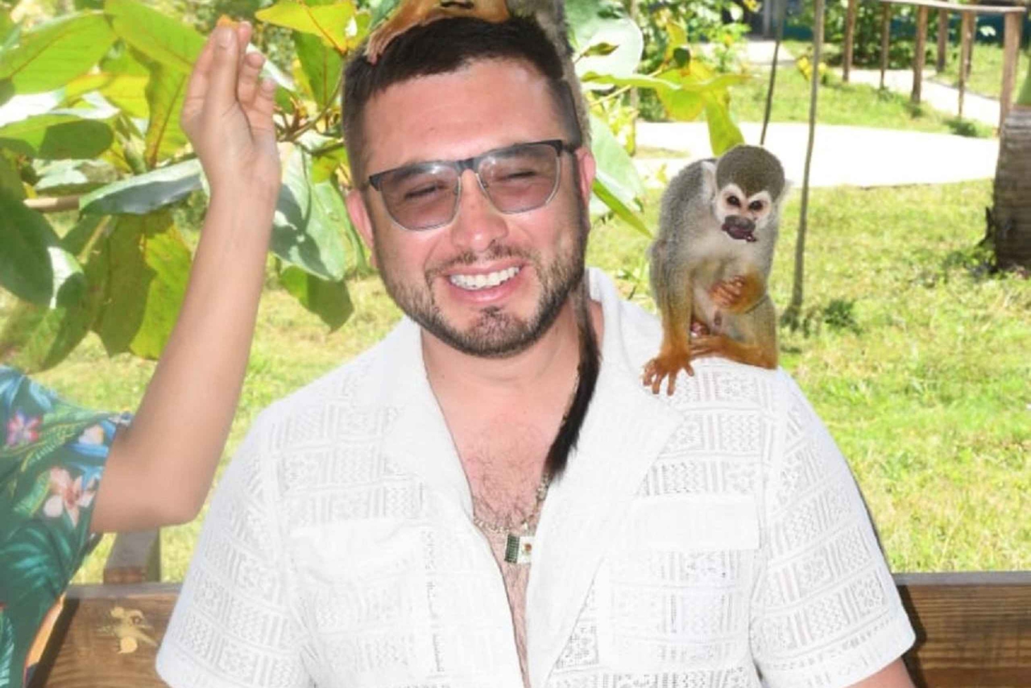 Puerto Plata: Monkey Tour and a Glimpse of Cows and Pigs