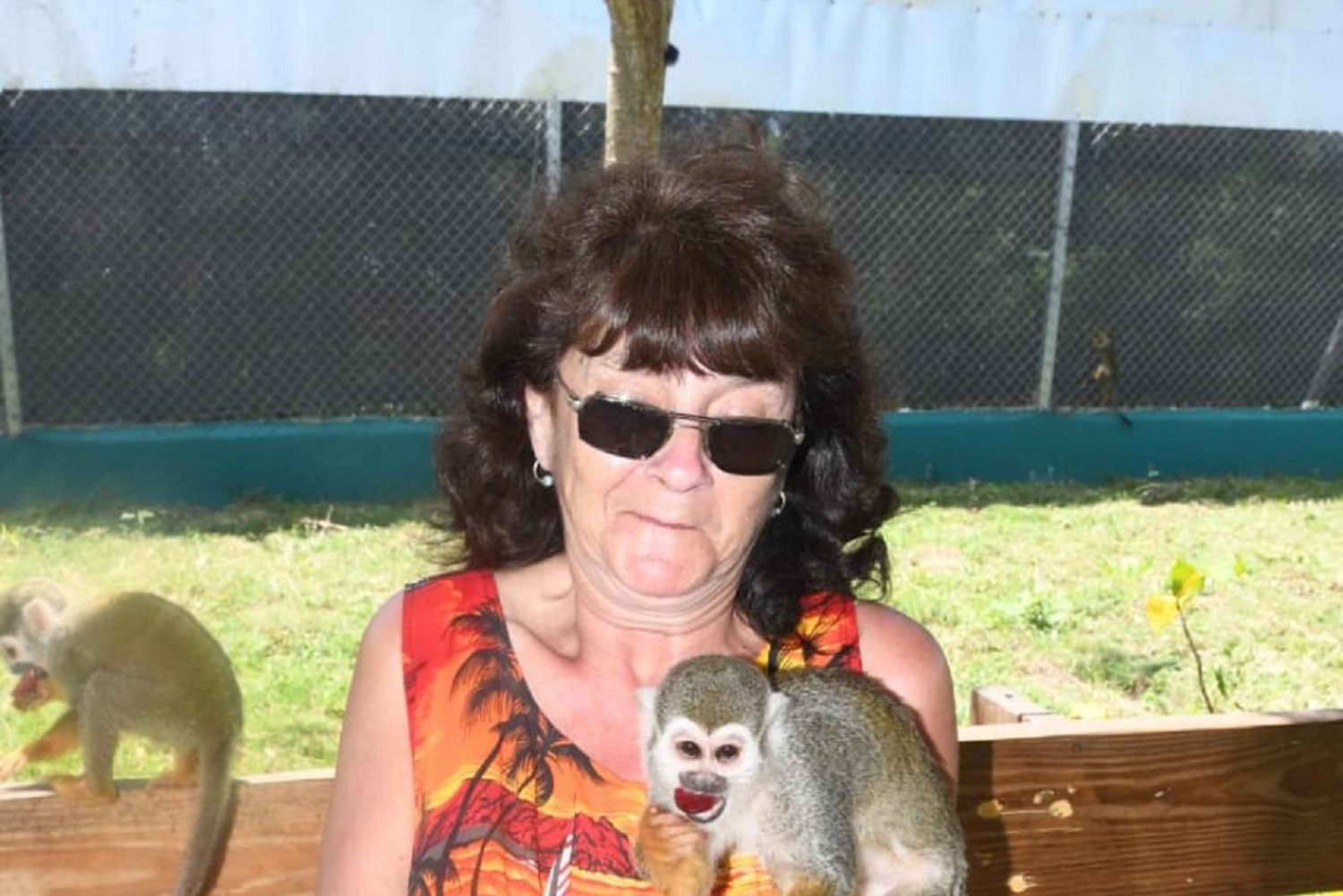 Puerto Plata: Monkey Tour and a Glimpse of Cows and Pigs