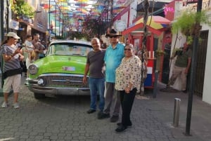 Puerto Plata: Tour dos Macacos e City Tour a partir de Taino Bay/Amber Cove