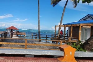 Puerto Plata: Tour dos Macacos e City Tour a partir de Taino Bay/Amber Cove