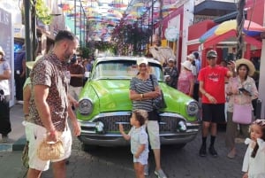 Puerto Plata: Tour dos Macacos e City Tour a partir de Taino Bay/Amber Cove