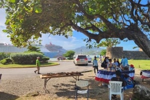 Puerto Plata: Tour dos Macacos e City Tour a partir de Taino Bay/Amber Cove