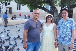 Puerto Plata: Tour dos Macacos e City Tour a partir de Taino Bay/Amber Cove