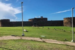 Puerto Plata: Tour dos Macacos e City Tour a partir de Taino Bay/Amber Cove