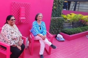 Puerto Plata: Tour dos Macacos e City Tour a partir de Taino Bay/Amber Cove