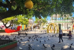 Puerto Plata: Tour dos Macacos e City Tour a partir de Taino Bay/Amber Cove