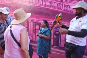 Puerto Plata: Tour dos Macacos e City Tour a partir de Taino Bay/Amber Cove