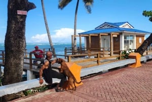 Puerto Plata: Tour dos Macacos e City Tour a partir de Taino Bay/Amber Cove