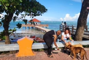 Puerto Plata: Tour dos Macacos e City Tour a partir de Taino Bay/Amber Cove