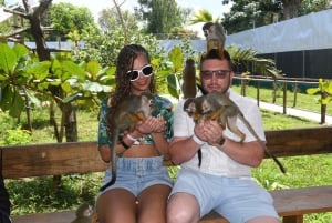 Puerto Plata: Tour dos Macacos e City Tour a partir de Taino Bay/Amber Cove