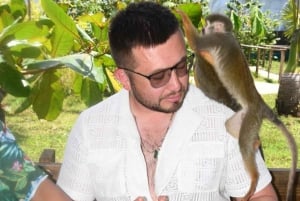 Puerto Plata: Tour dos Macacos e City Tour a partir de Taino Bay/Amber Cove