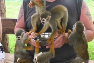 Puerto Plata: Tour dos Macacos e City Tour a partir de Taino Bay/Amber Cove