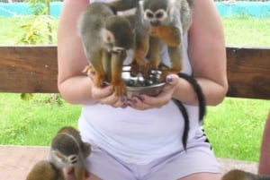 Puerto Plata: Tour dos Macacos e City Tour a partir de Taino Bay/Amber Cove