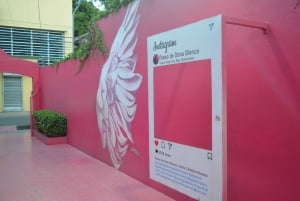 Puerto Plata: Tour dos Macacos e City Tour a partir de Taino Bay/Amber Cove