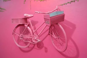 Puerto Plata: Tour dos Macacos e City Tour a partir de Taino Bay/Amber Cove