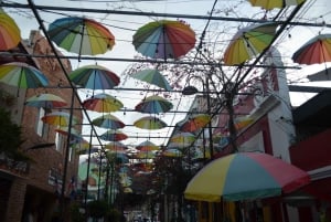 Puerto Plata: Tour dos Macacos e City Tour a partir de Taino Bay/Amber Cove