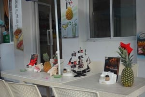 Puerto Plata: Tour dos Macacos e City Tour a partir de Taino Bay/Amber Cove