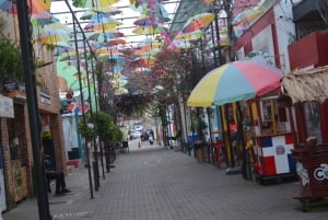 Puerto Plata: Tour dos Macacos e City Tour a partir de Taino Bay/Amber Cove