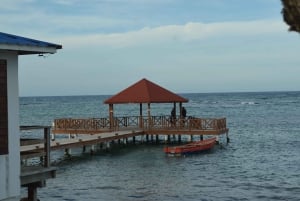 Puerto Plata: Tour dos Macacos e City Tour a partir de Taino Bay/Amber Cove