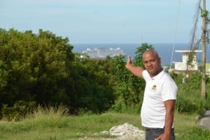 Puerto Plata: Tour dos Macacos e City Tour a partir de Taino Bay/Amber Cove