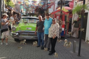 Puerto Plata: Tour dos Macacos e City Tour a partir de Taino Bay/Amber Cove