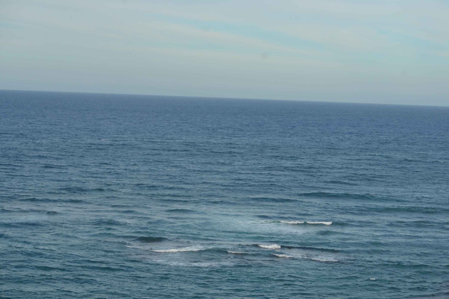 Puerto Plata: Monkey Tour and Dominican History and Culture City Tour