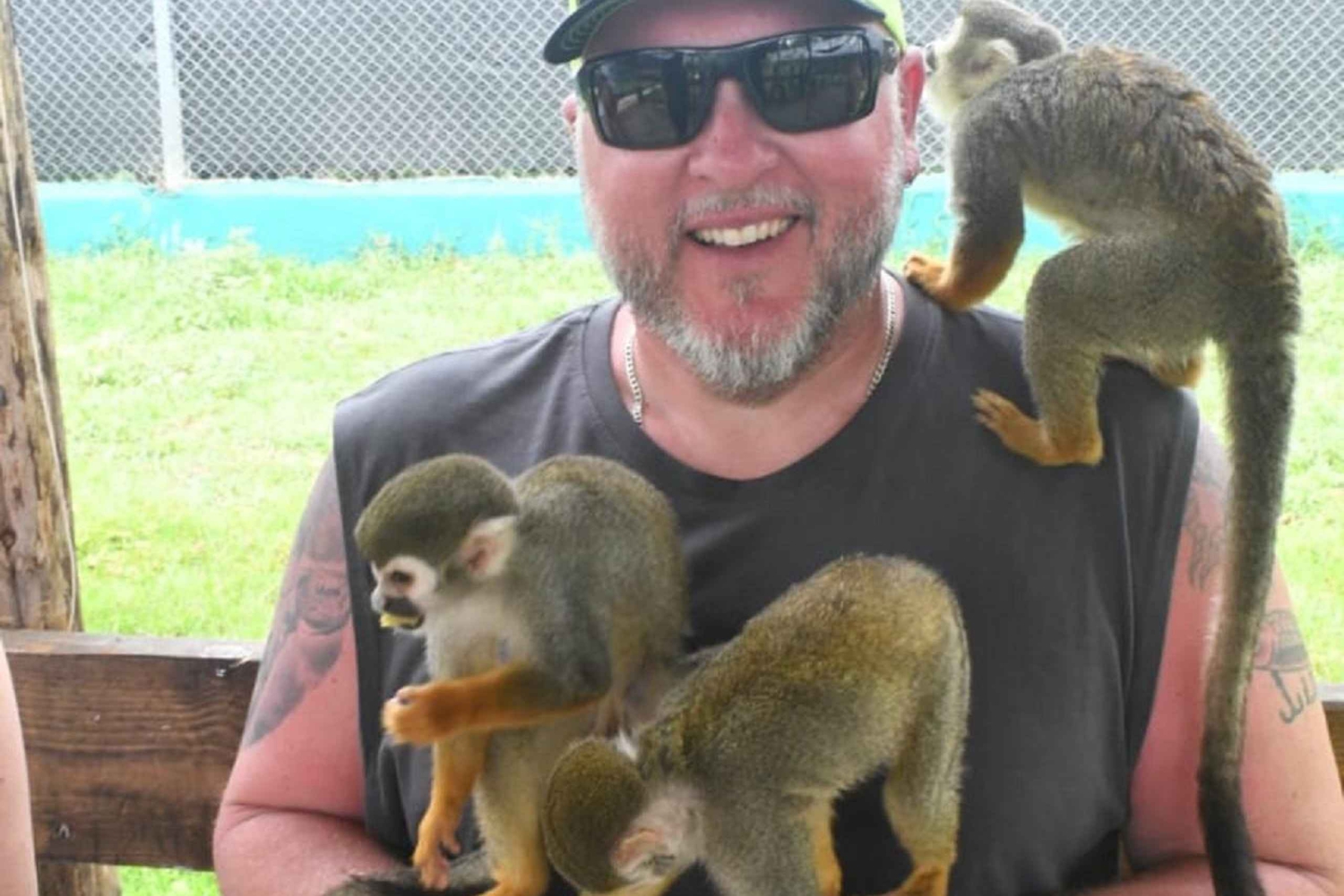 Puerto Plata: Monkey Tour and Dominican History and Culture City Tour