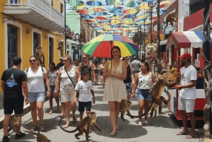 Puerto Plata: Monkey Tour and Dominican History and Culture City Tour