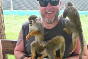 Puerto Plata: Monkey Tour and Dominican History and Culture City Tour