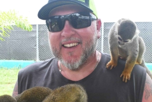 Puerto Plata: Monkey Tour and Dominican History and Culture City Tour